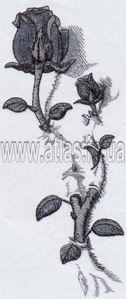 Floral design for women’s apparel